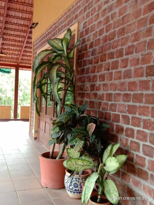 Sohana Eco Retreat Farmhouse - Karjat Chinchavli Buitenkant foto