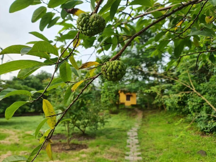 Sohana Eco Retreat Farmhouse - Karjat Chinchavli Buitenkant foto