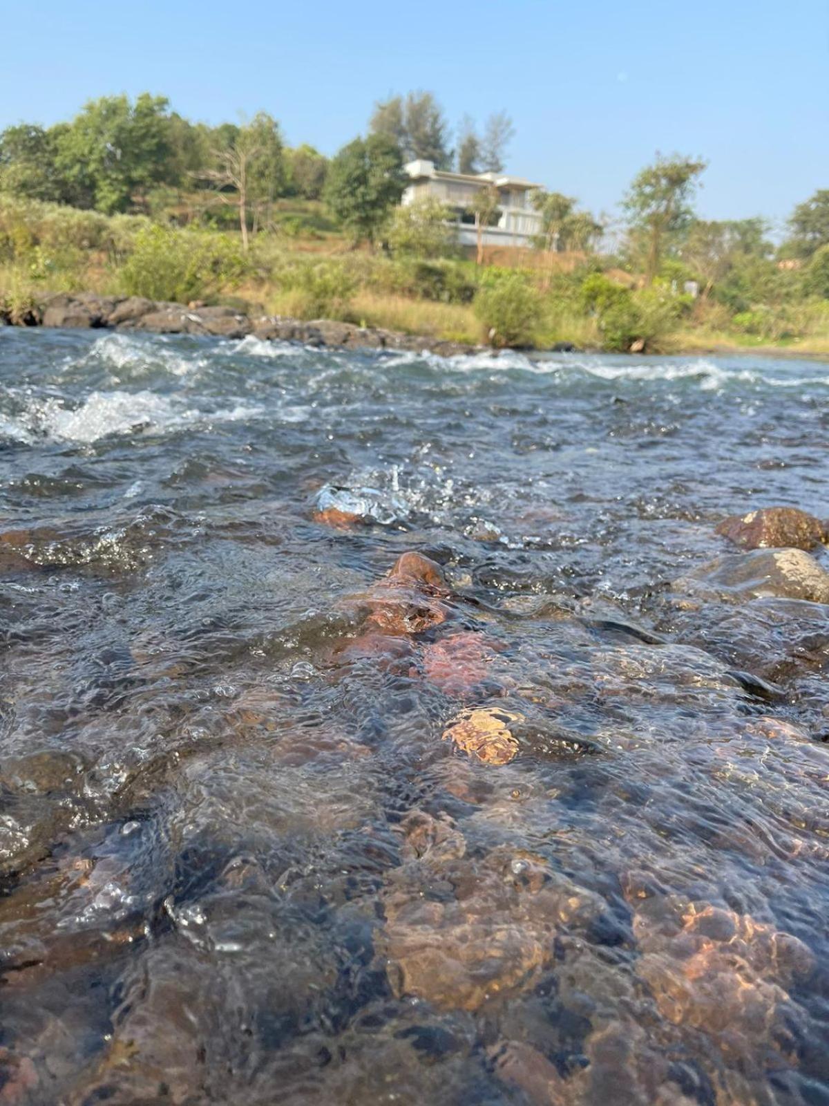 Sohana Eco Retreat Farmhouse - Karjat Chinchavli Kamer foto